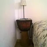 Cats House