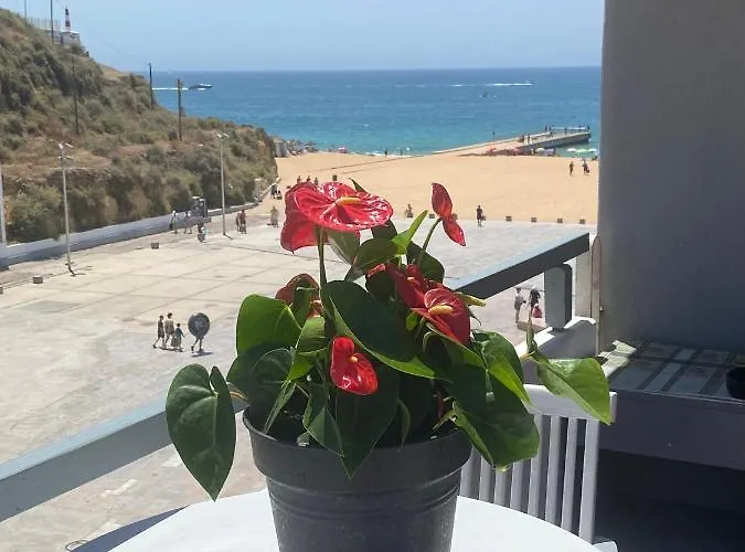 Maria Apartamento