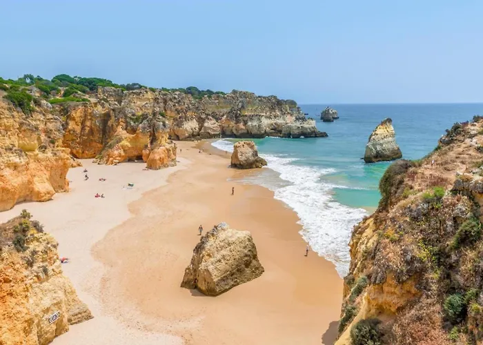 Ocean Coast