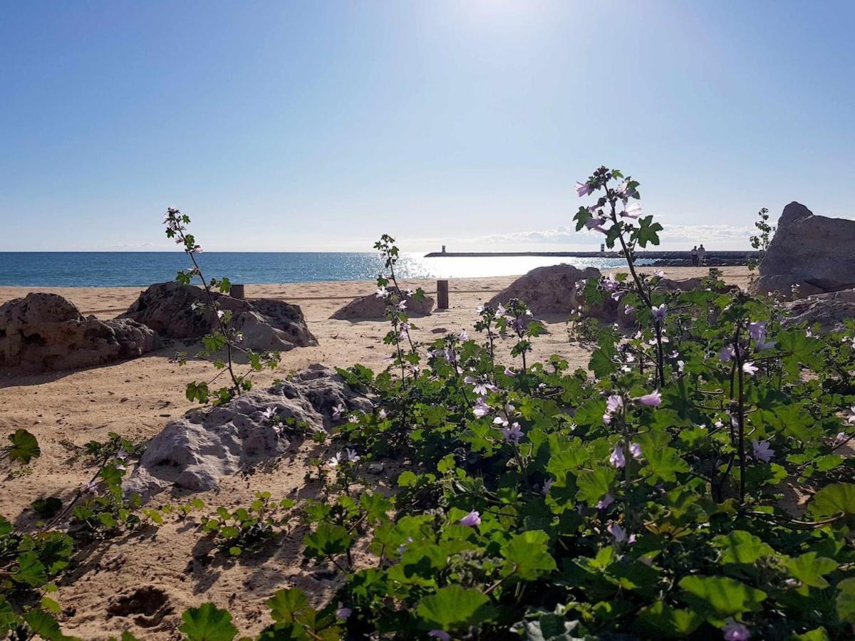 Ocean View Albufeira