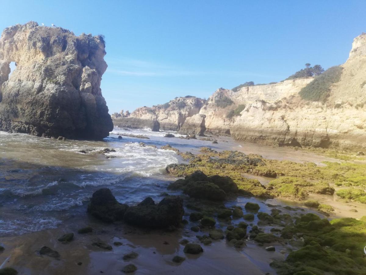 Rocha Praia Mar Beach Front Line Bay * Portimao