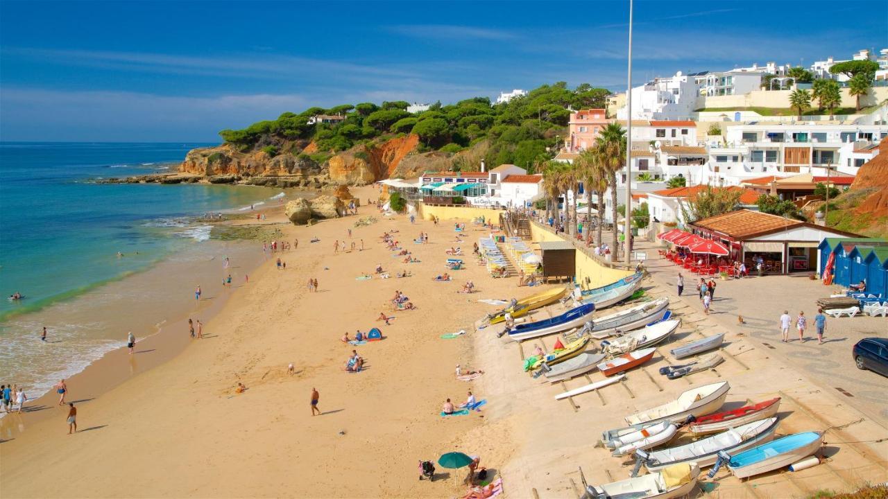 Bed & Breakfast Quinta Pereiro Tropic Garden, Algarve