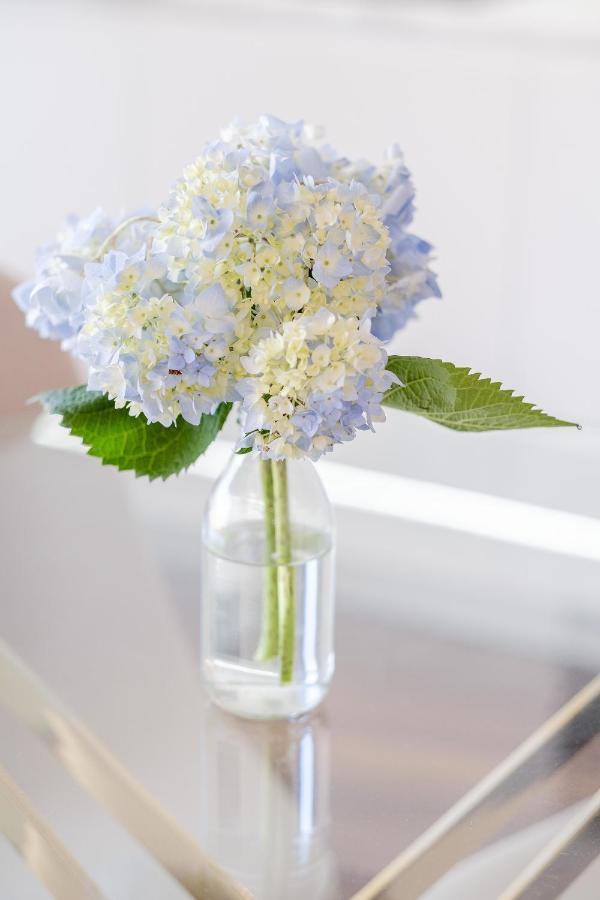 Appartement Boutique Rentals- Bliss By The Sea Apt- Ocean Views In Foz *