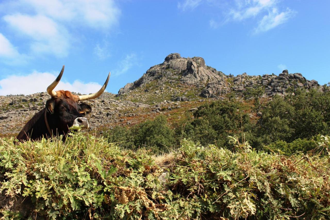 Beirais Do Alvao Casa de férias
