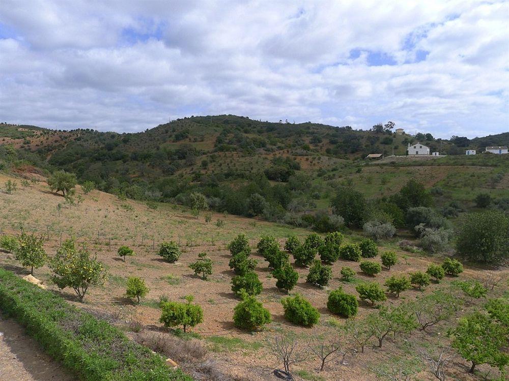 Country house Herdade Da Corte *