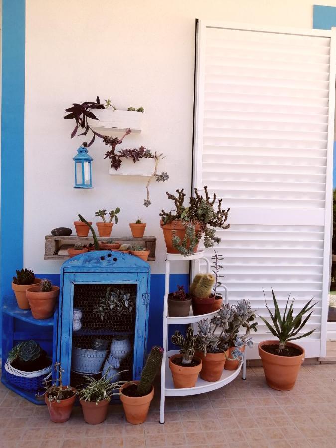 Endless Summer Surf House Guest house *