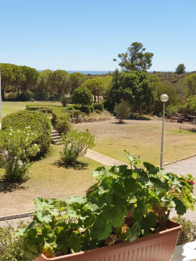Marine * Porches (Algarve)
