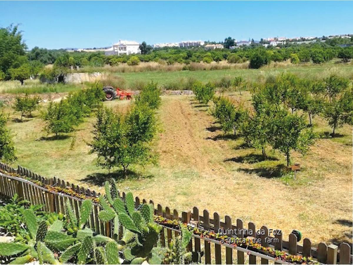 Quintinha Da Foz Casa de hóspedes