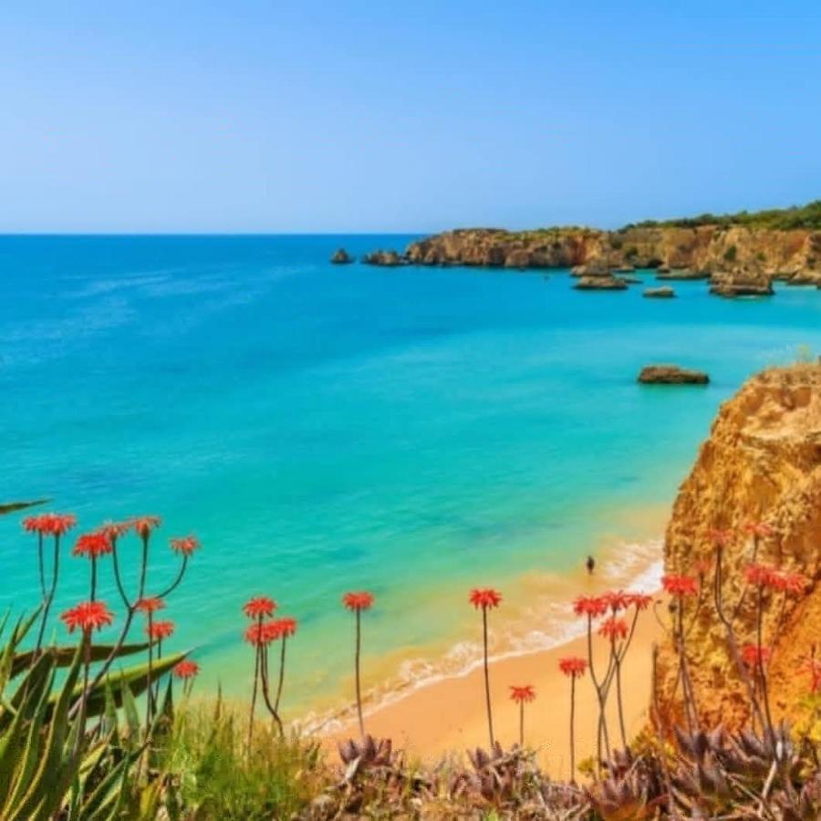 Appartement Cor Do Mar - Sunny, Clean And Spacious With Sea View, In - Very Close Walking Distance To The And Village