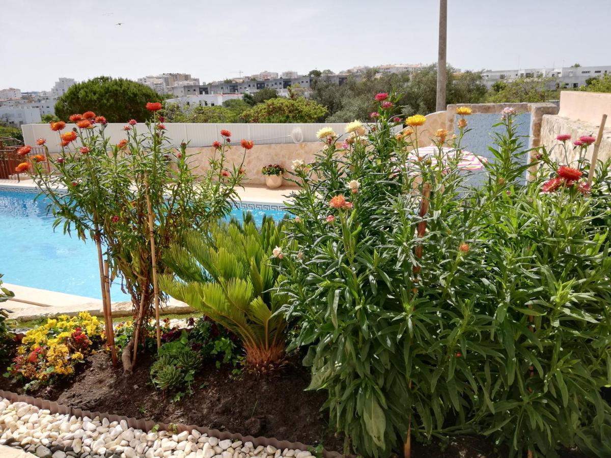 Atlantico Apartment *