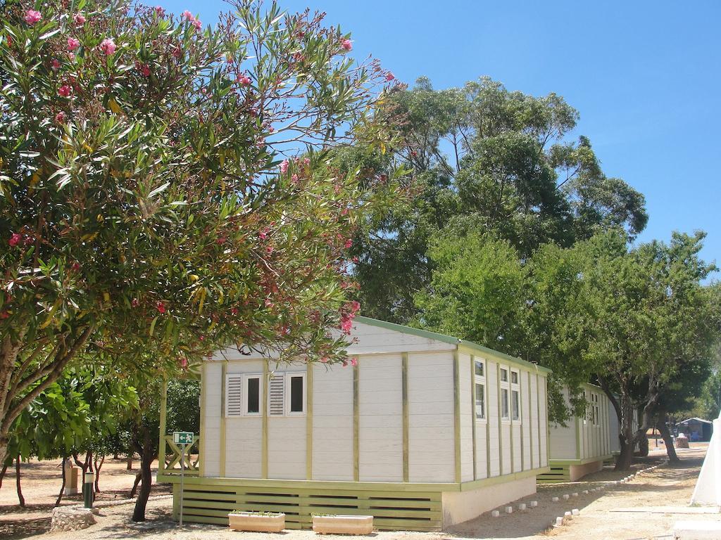 Parque De Campismo De