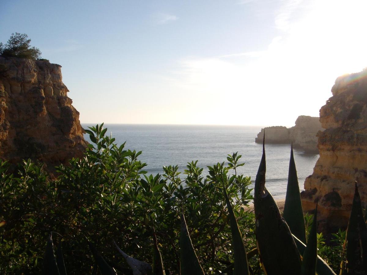 Сasa de vacaciones Casa Alexandra