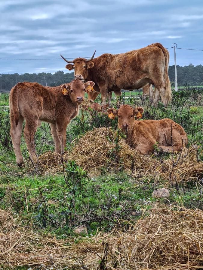 Herdade Da Vagem Сasa de vacaciones Rogil