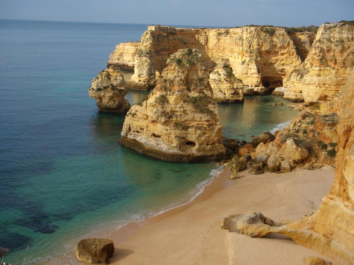 Сasa de vacaciones Casa Alexandra