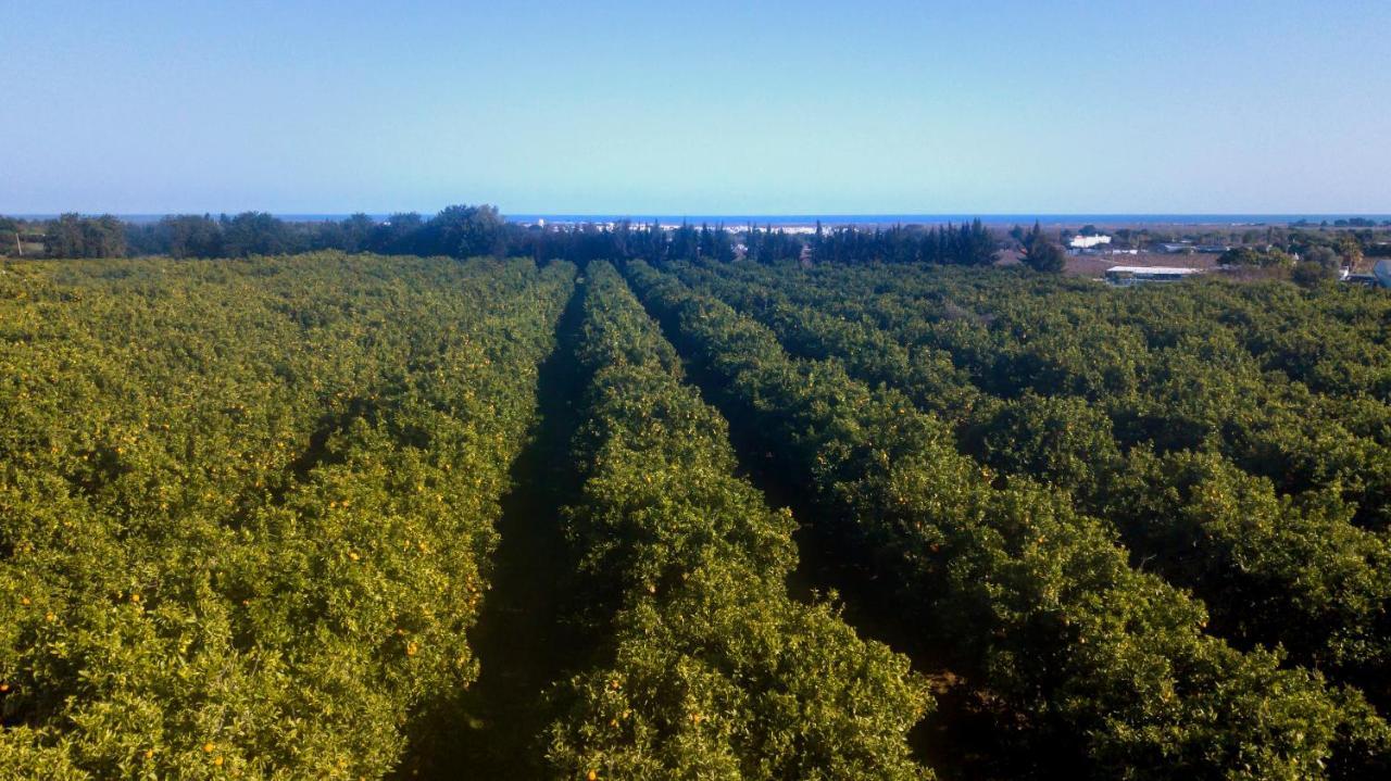 Quinta Da Pintassilga Сasa de vacaciones