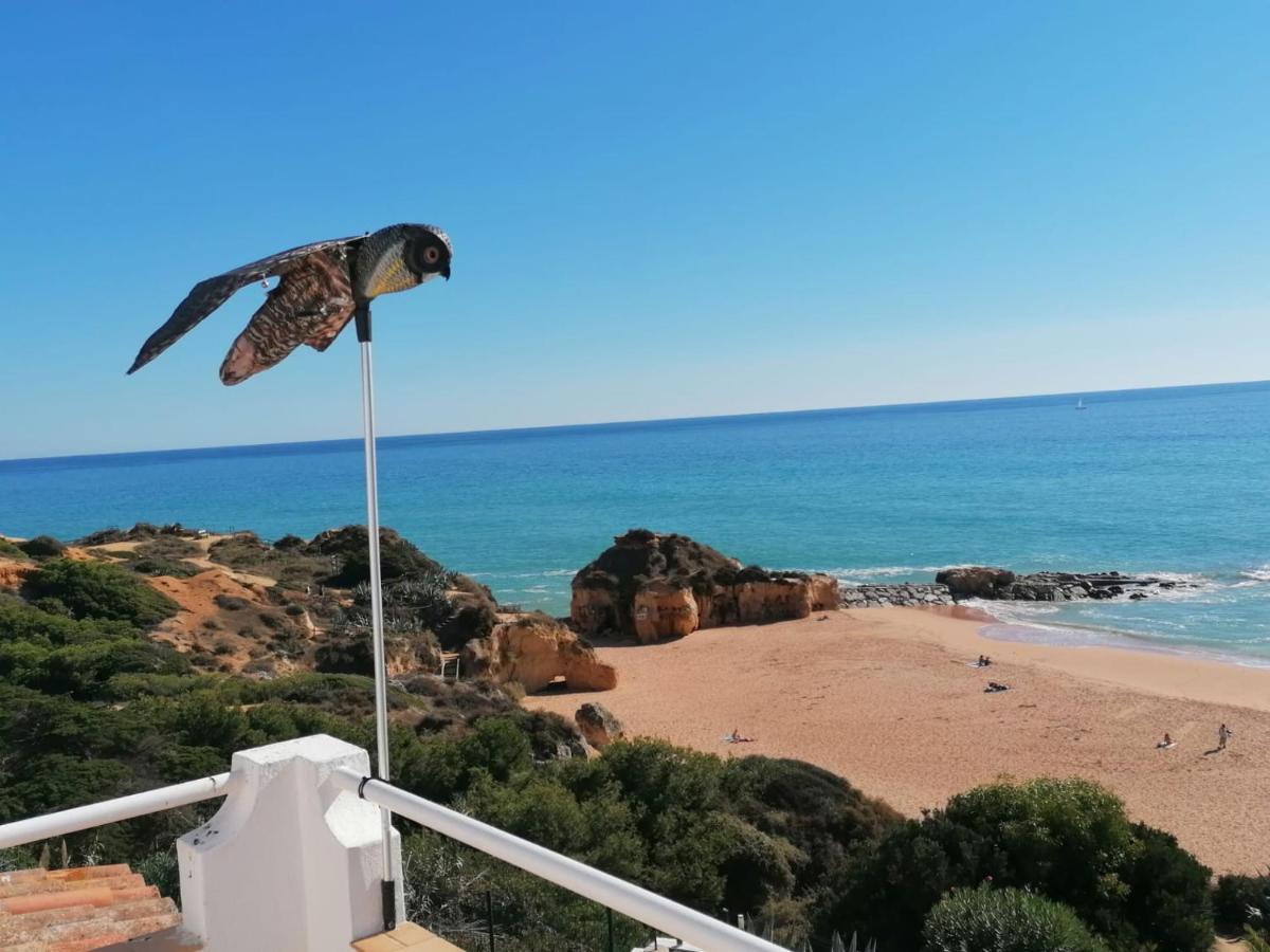 Pousada Beira Mar By Check-in Portugal Albufeira