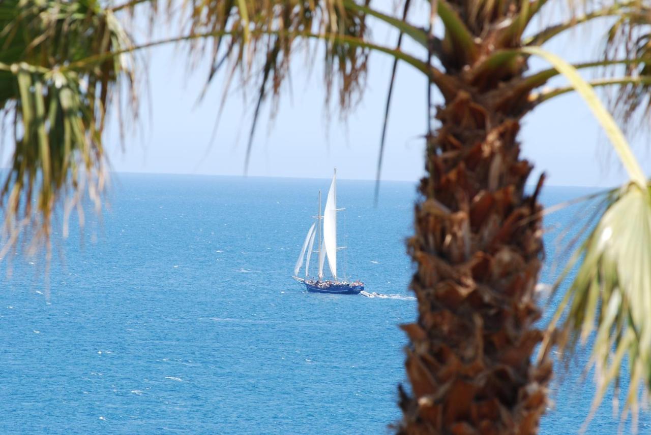 Ocean Facing At Senhora Da Rocha Villa