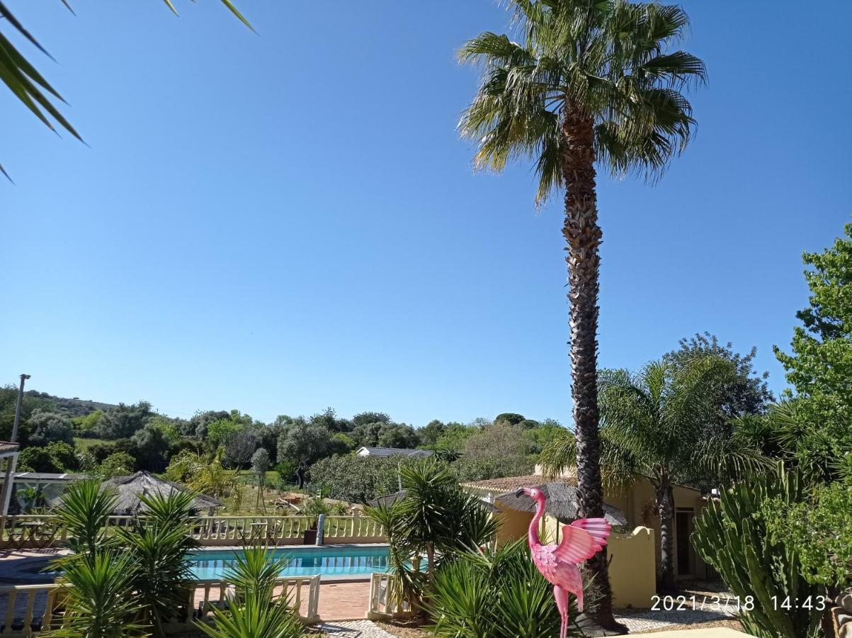 Bed & Breakfast Quinta Pereiro Tropic Garden, Algarve Moncarapacho