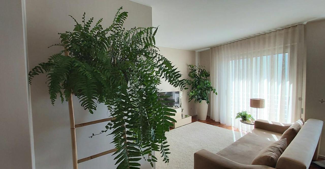 Apartment Jardim Na Matosinhos (Porto)