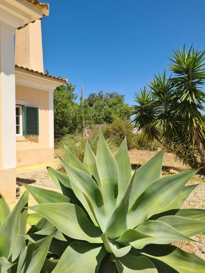 Bed & Breakfast Casa Dos Ventos Olhao