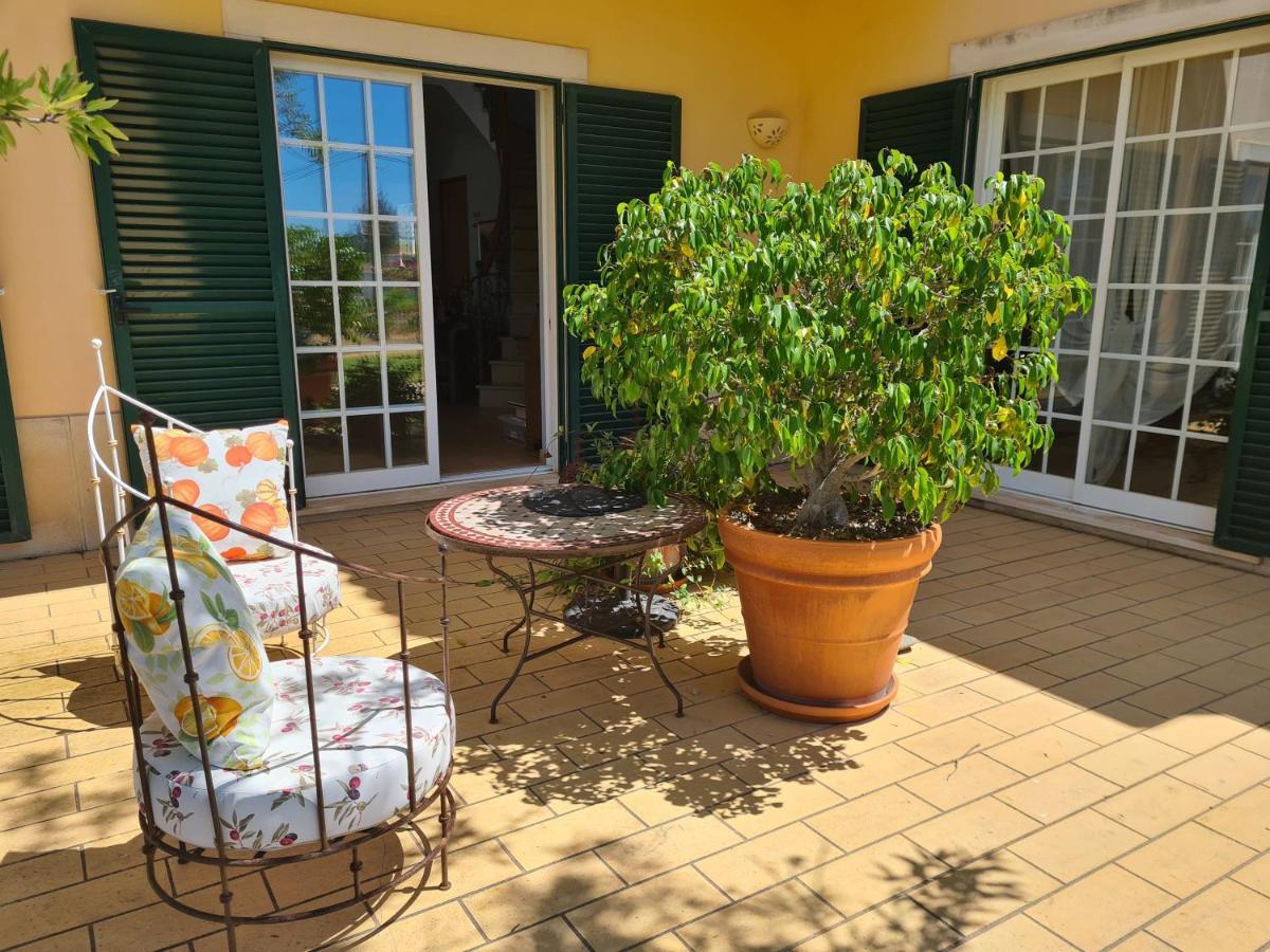 Bed & Breakfast Casa Dos Ventos
