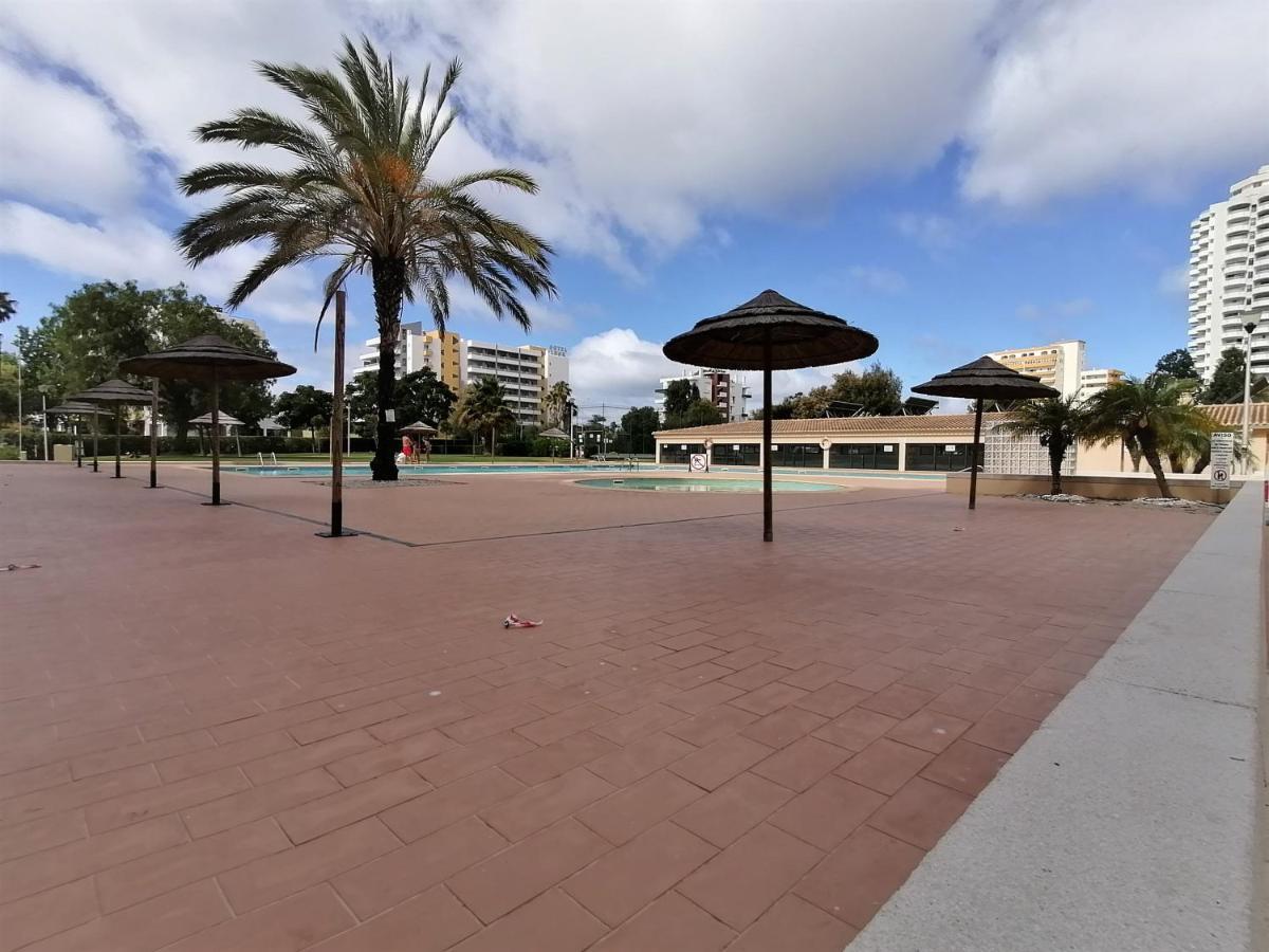 Apartamento Paraiso Sol Rocha Luxurious *