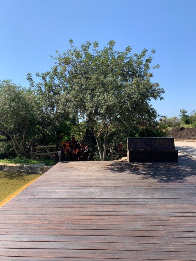 Country house Casa Branca *