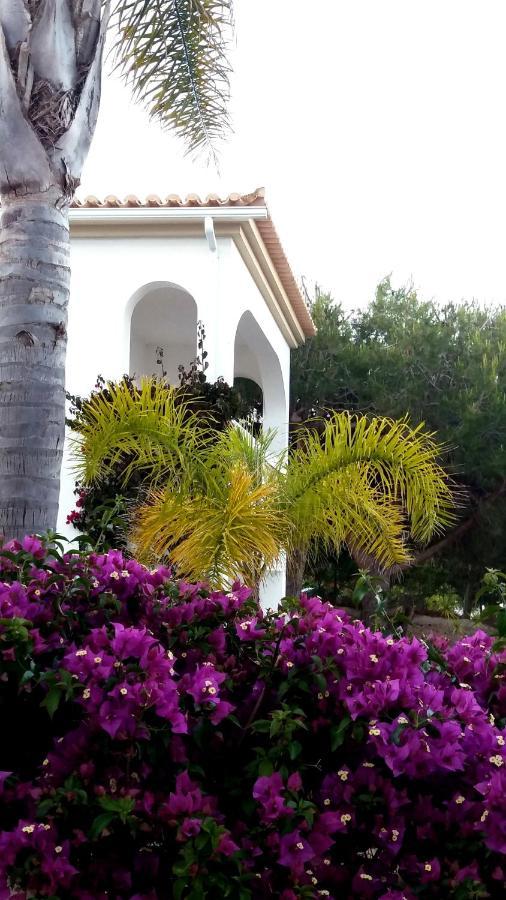 Apartment Queen Palm *