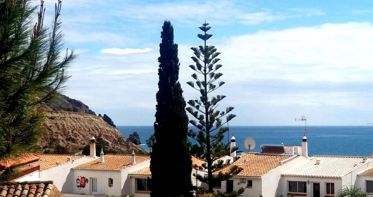Queen Palm Praia Da Luz