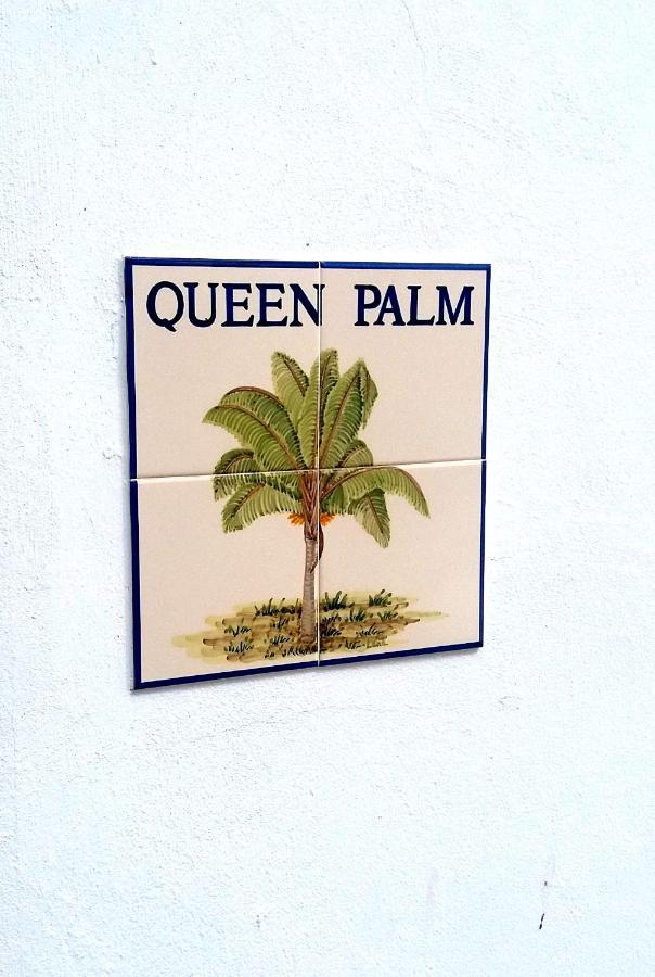 Queen Palm Apartment *