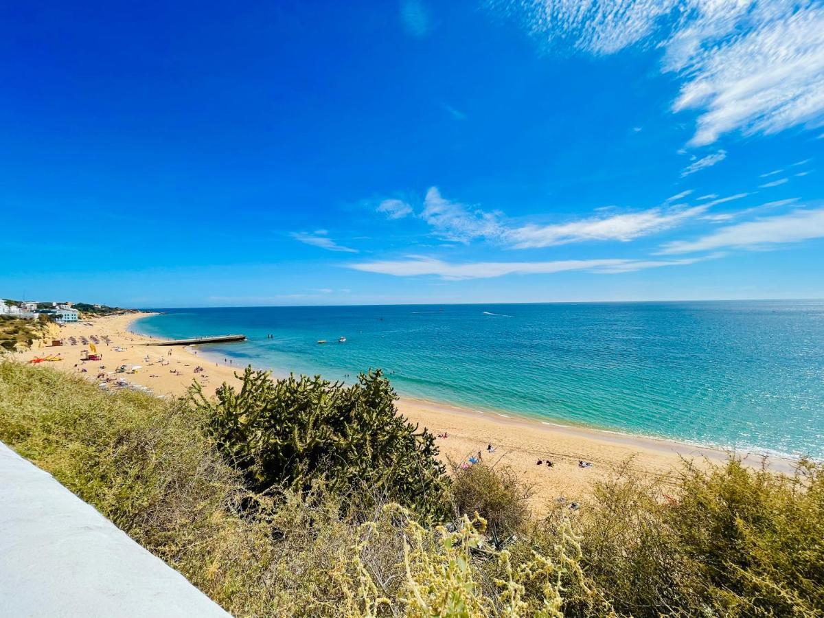 Ocean View Skyline ‚hakuna Matata' Apartamento