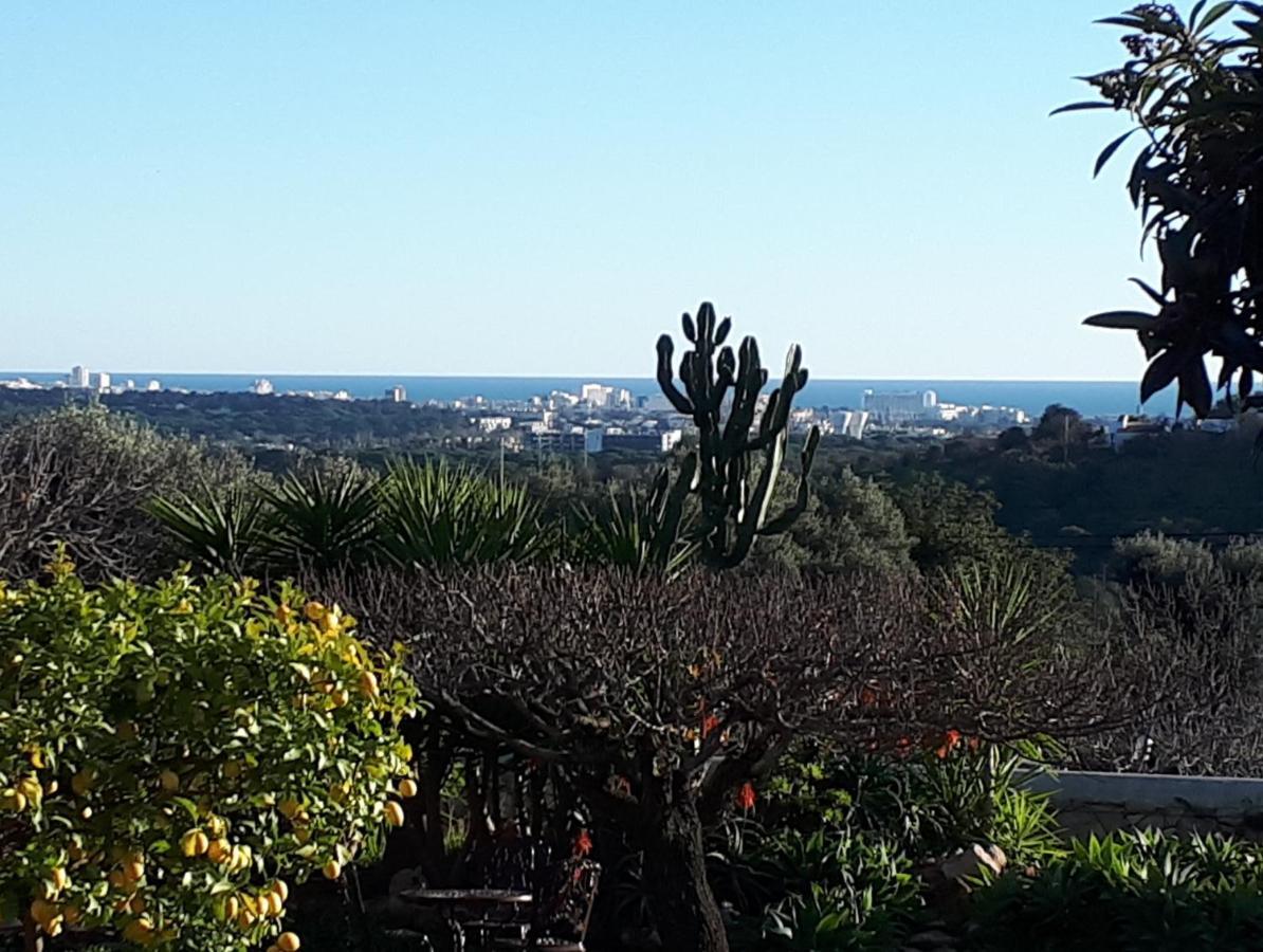 Retiro Da Janela Bed and breakfast