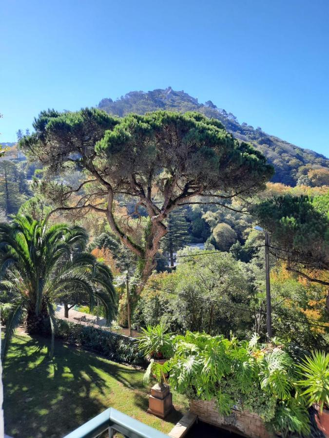 Luxurious Royal Estate In Historic Paradise Sintra