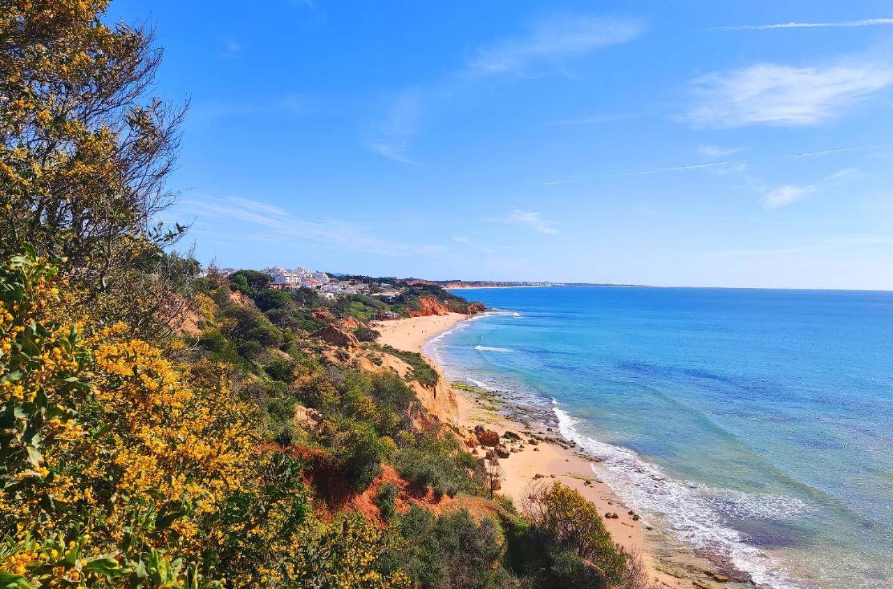 Luxury Ocean View By Be Cherish Apartamento Albufeira