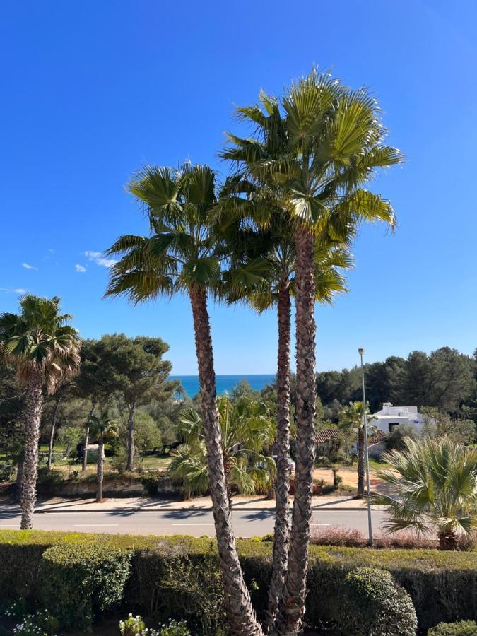 Luxury Modern T2 Ocean View - Free Parking - Pool Apartment *