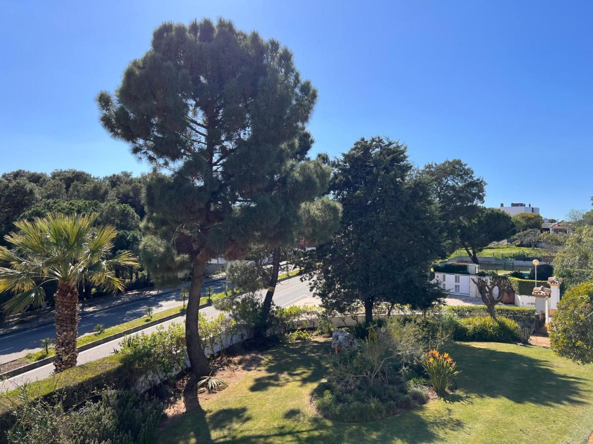Apartment Luxury Modern T2 Ocean View - Free Parking - Pool