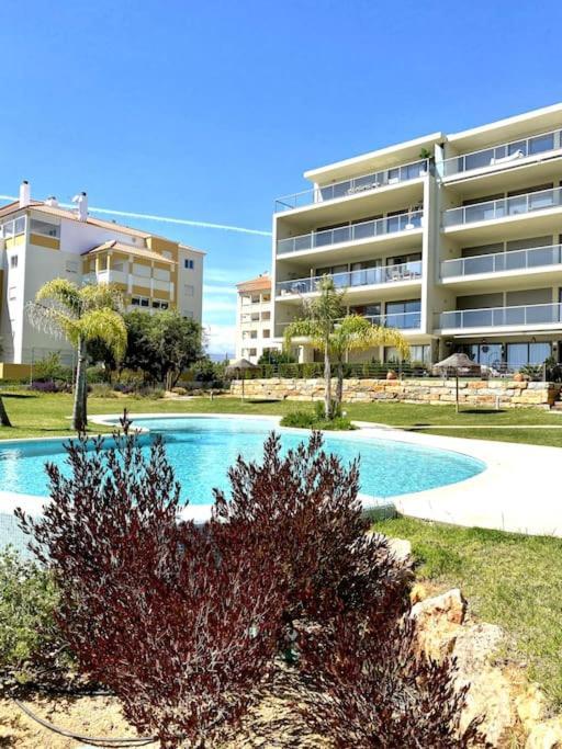 Apartment New Stunning Ocean Aprt In 
