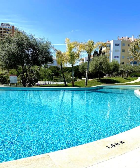 Apartment New Stunning Ocean Aprt In 