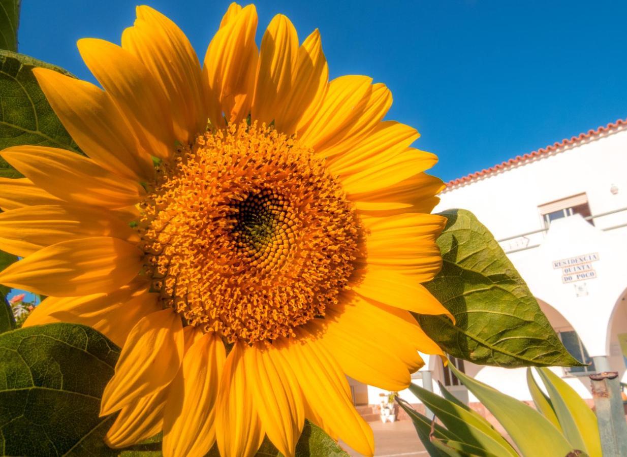 Residencia Quinta Do Poco Guest house