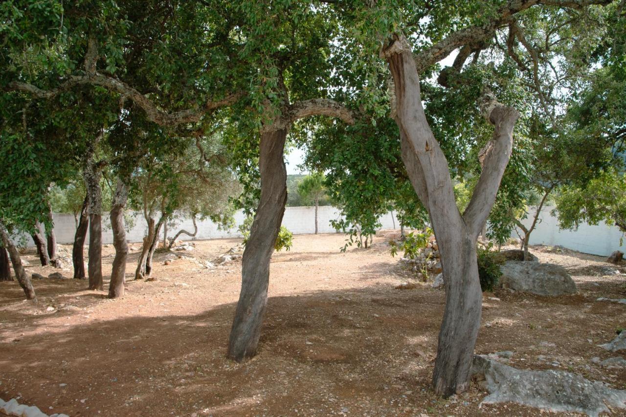 Casa Portus - *