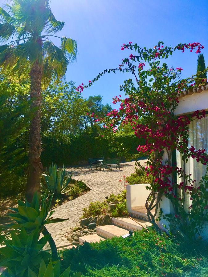 Magical Casa Koi In Villa *