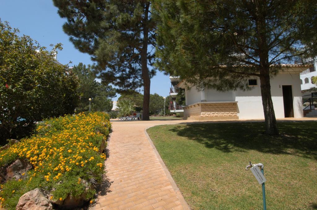 Pine Sun Park - Durcosa Apartment *
