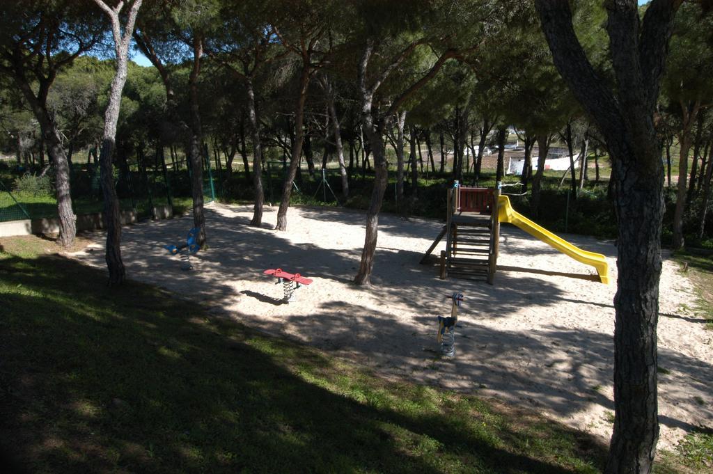 Apartment Pine Sun Park - Durcosa