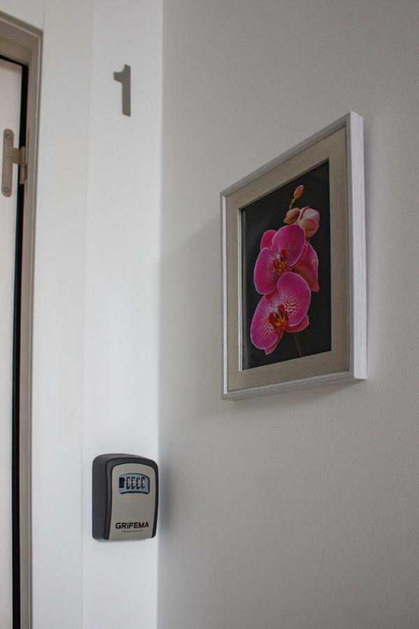 Hotel Flor&fidalgo *