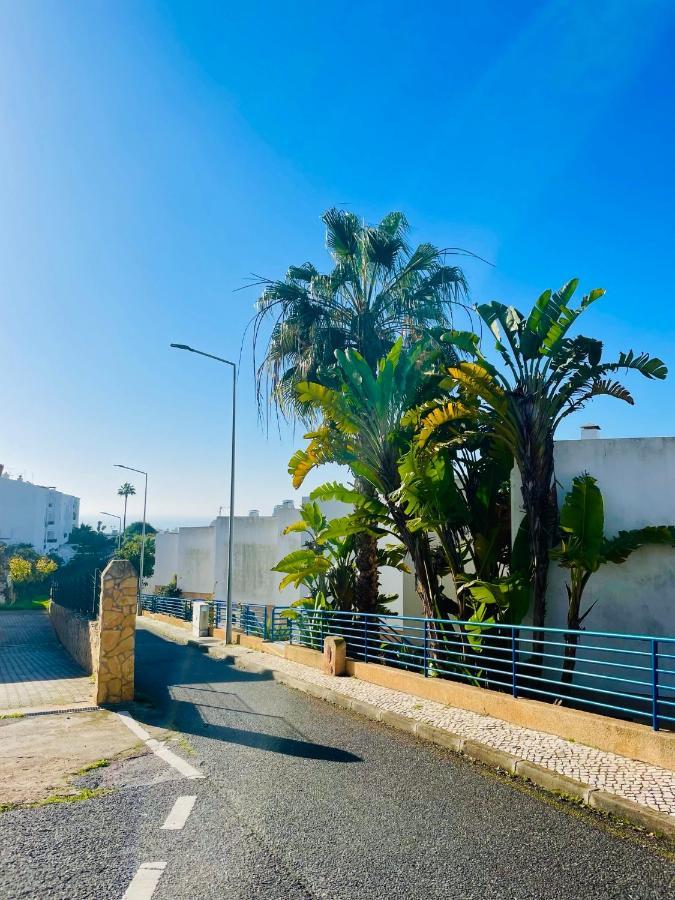 Ocean View Skyline ‚hakuna Matata' Apartamento