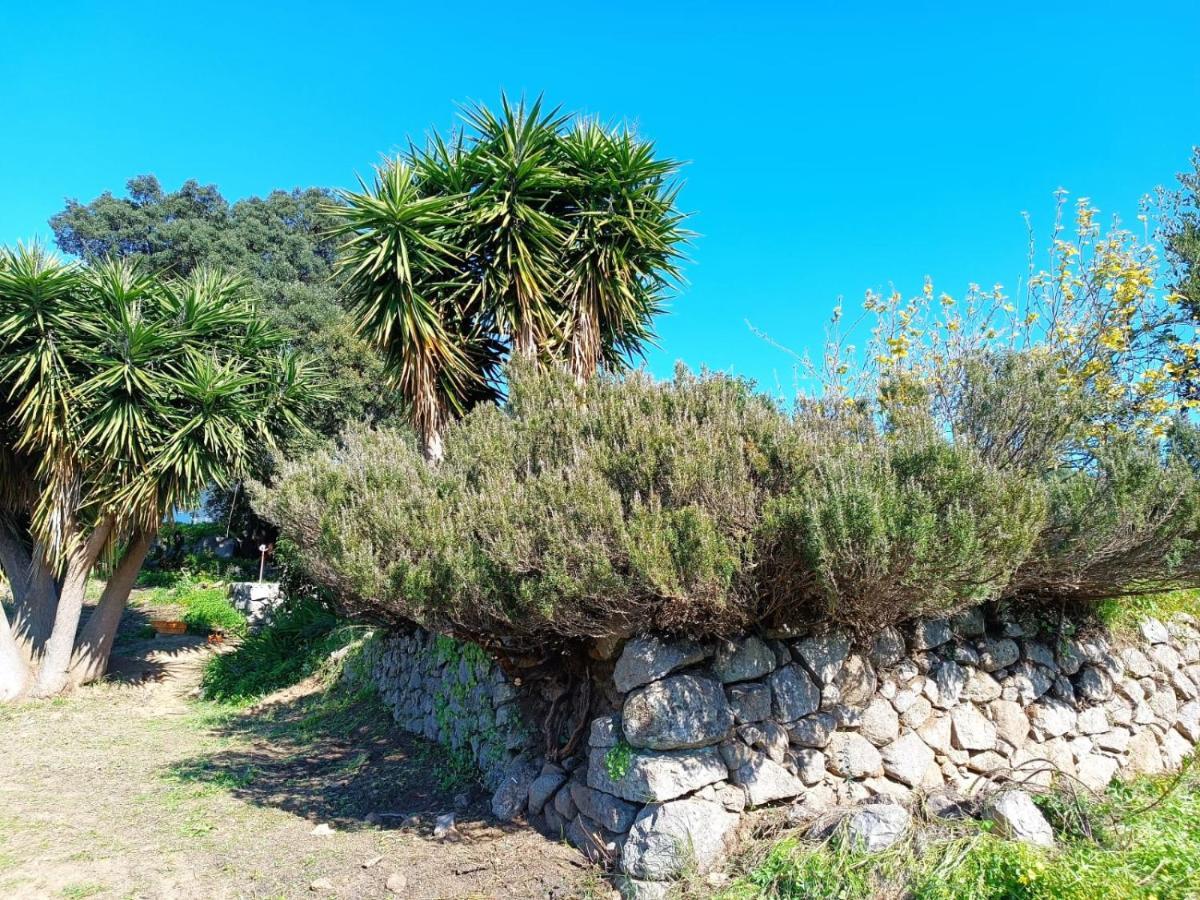Farm stay Vinha Do Gaio