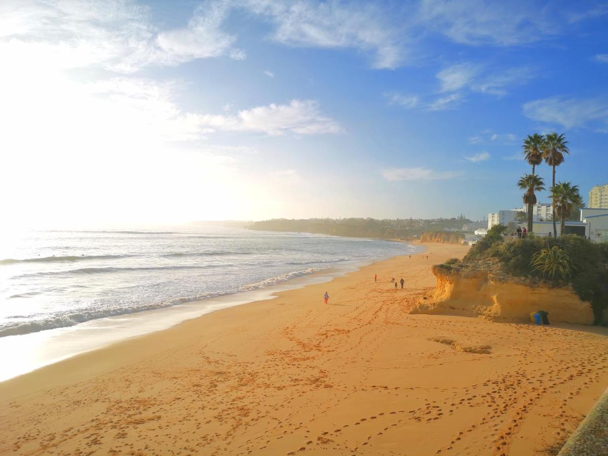 Olival With Pool Walking Distance To Pousada Armacao de Pera