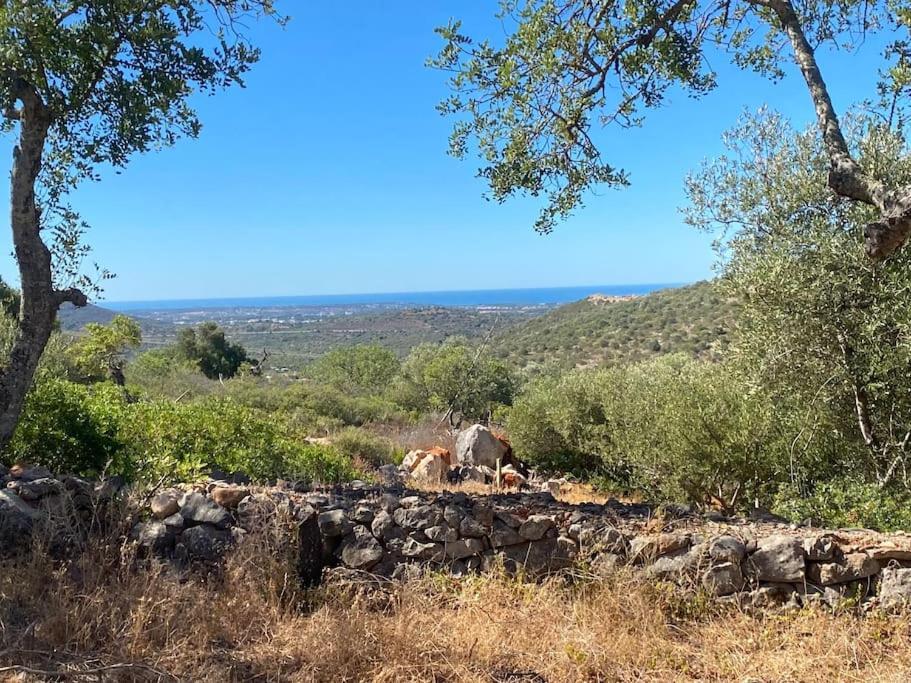 Eco-villa Monte Do Barrocalinho Villa Loule