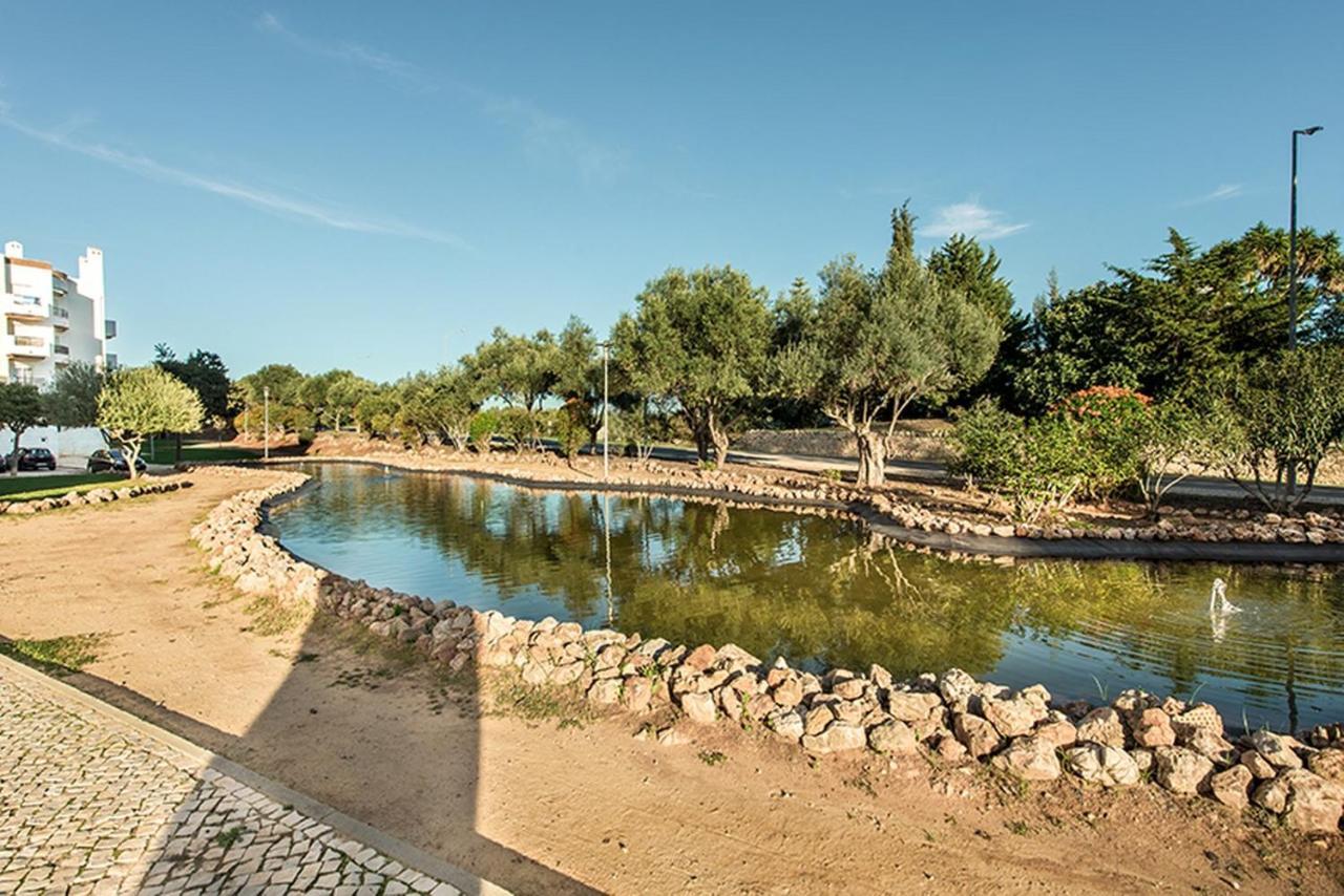 Whyler * Tavira