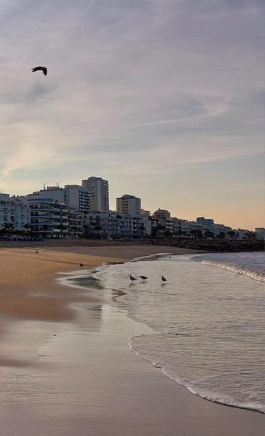 Apartamento Cartaia Leste *